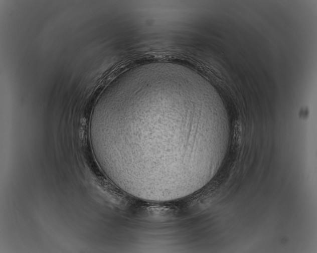 X0000088900650200707061455