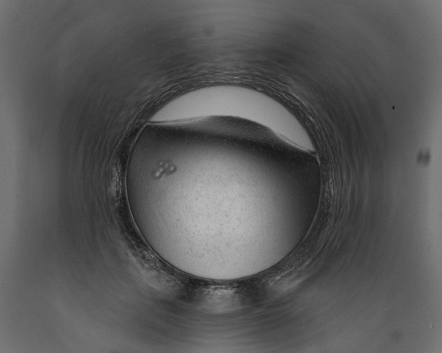 X0000088900651200707061455