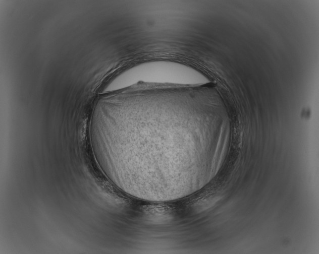 X0000088900652200707061455