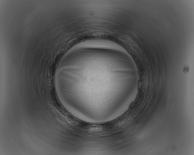 X0000088900653200707061456