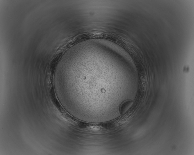 X0000088900654200707061456