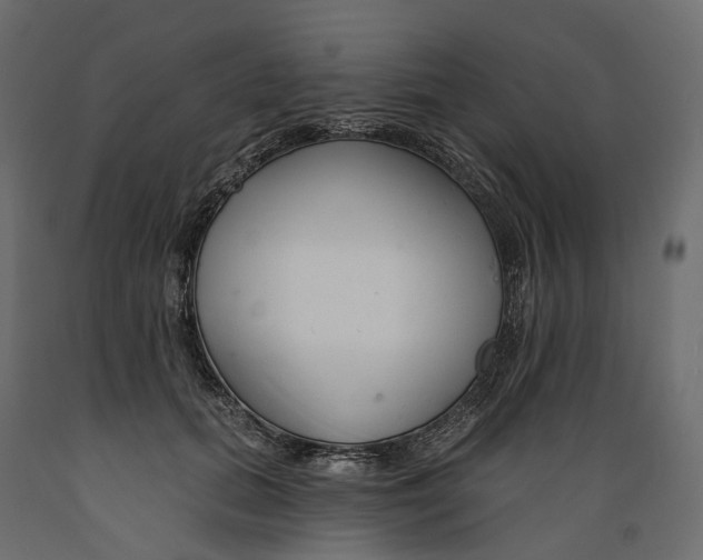 X0000088900655200707061456