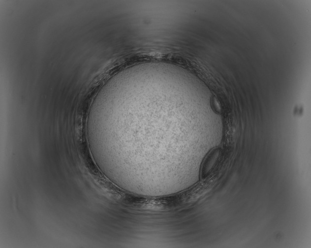 X0000088900656200707061456