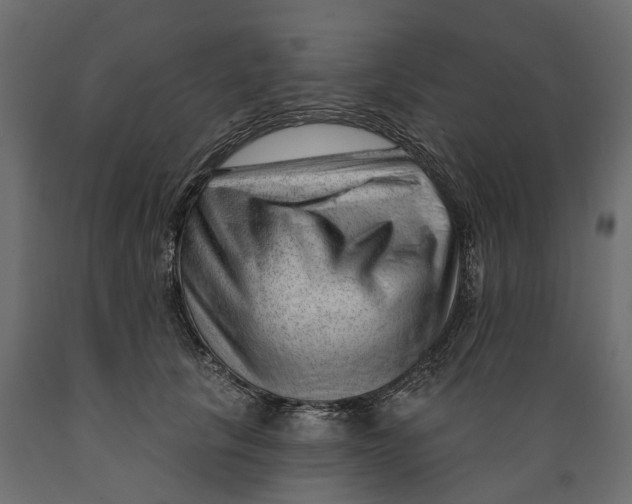 X0000088900657200707061456