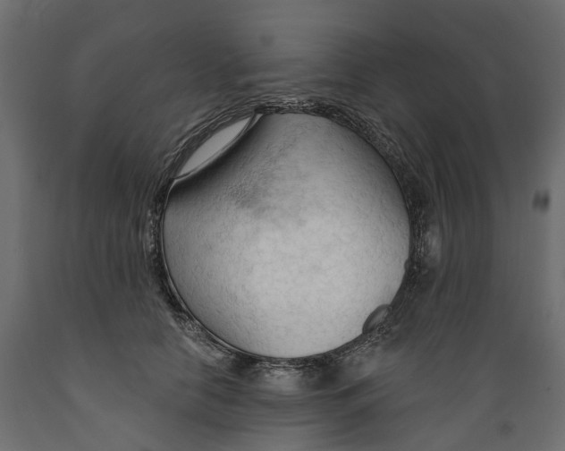 X0000088900658200707061456