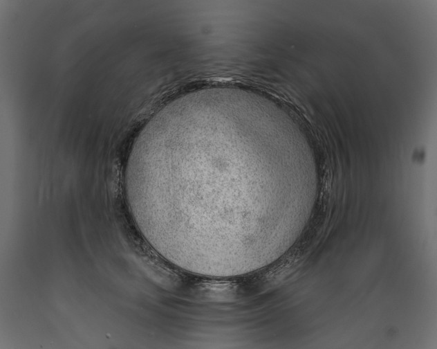 X0000088900659200707061456