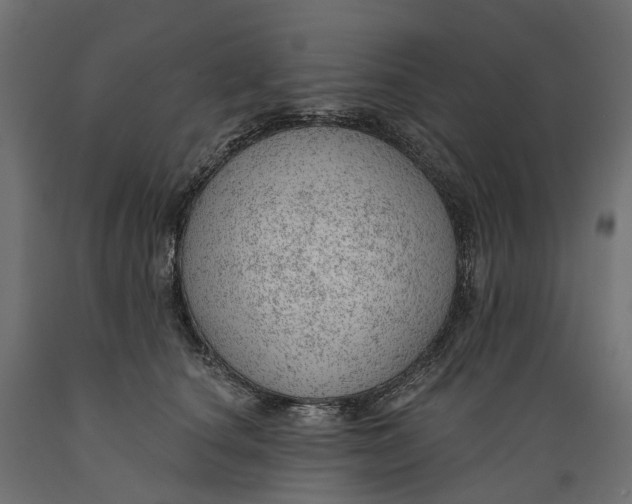 X0000088900660200707061456