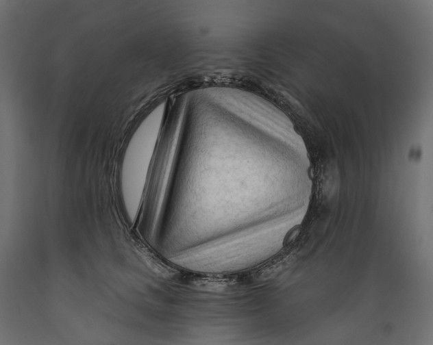 X0000088900661200707061456