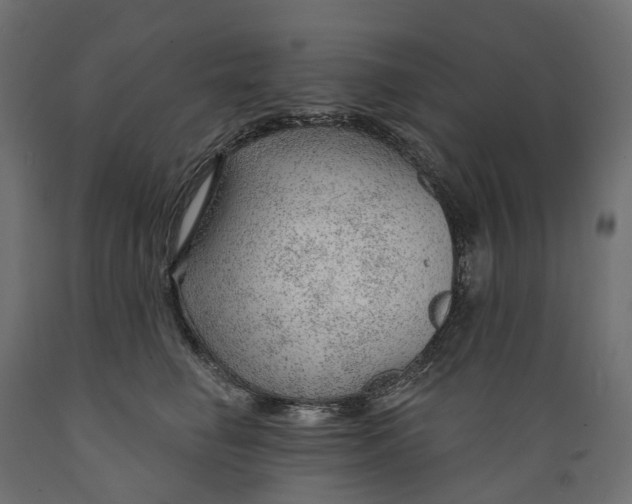 X0000088900662200707061456