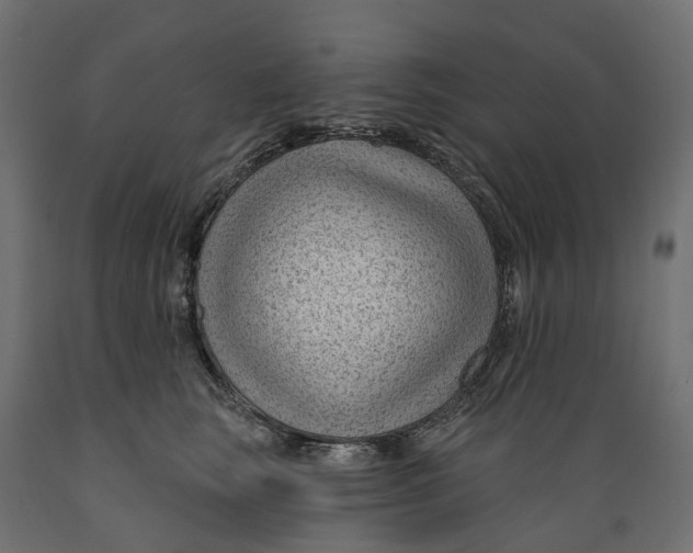 X0000088900663200707061456