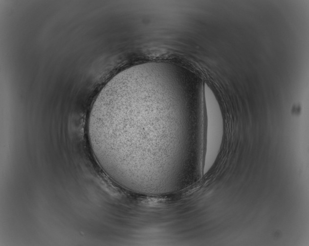 X0000088900664200707061456