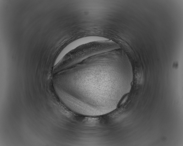 X0000088900665200707061456