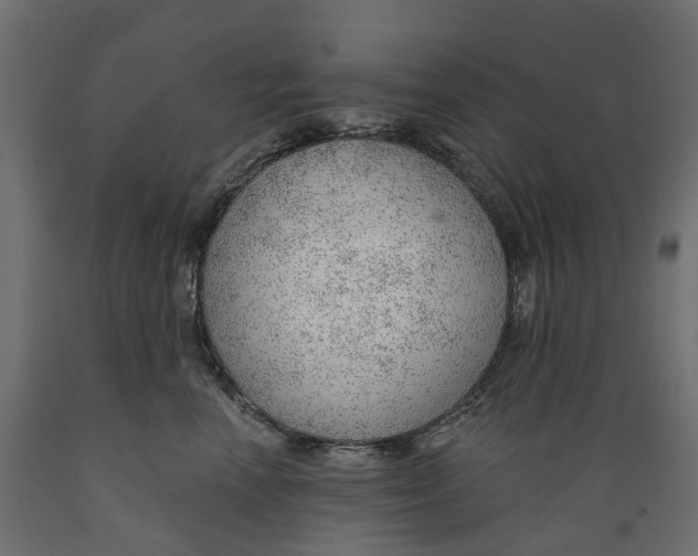 X0000088900666200707061456