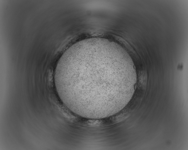 X0000088900667200707061456