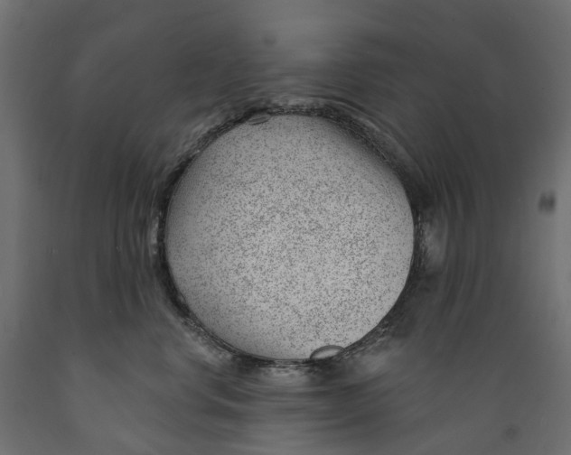 X0000088900668200707061456