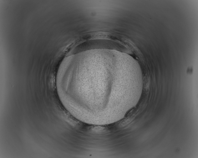 X0000088900669200707061456