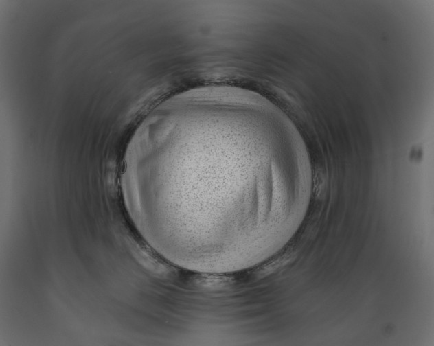 X0000088900670200707061456