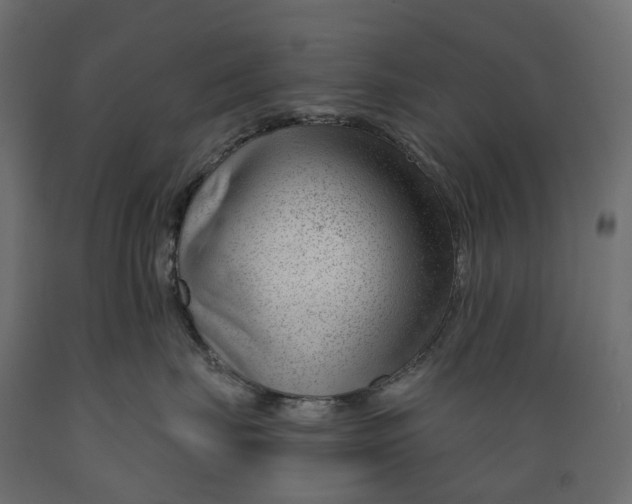 X0000088900671200707061456