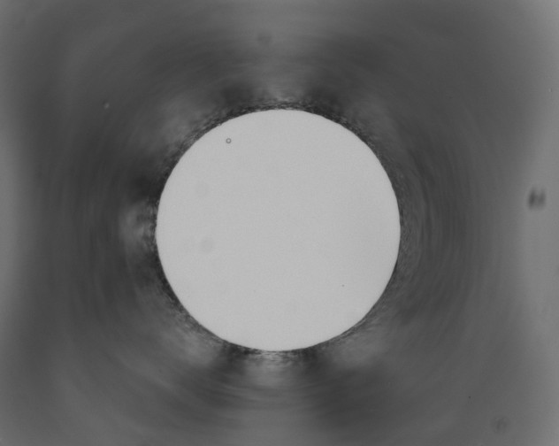 X0000088900672200707061456