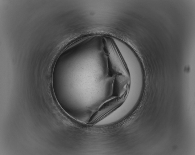 X0000088900673200707061455