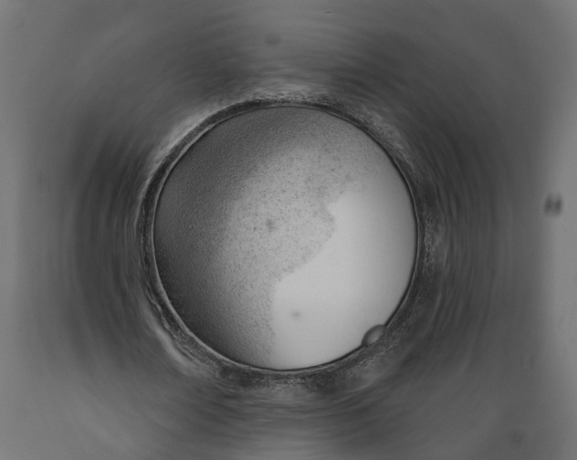 X0000088900674200707061455