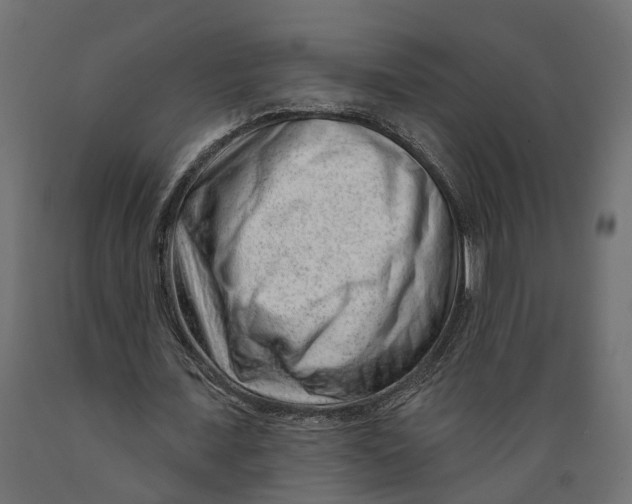 X0000088900675200707061455