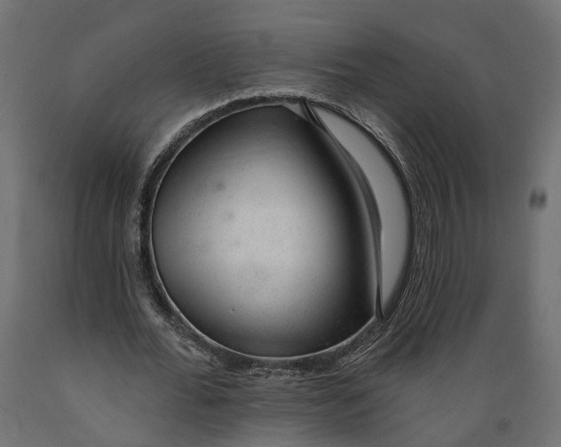 X0000088900676200707061455