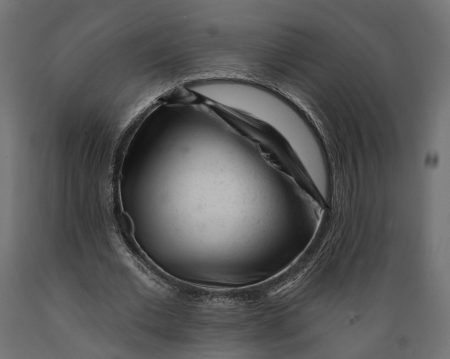 X0000088900677200707061455