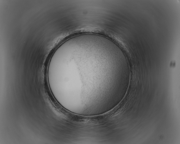 X0000088900678200707061455