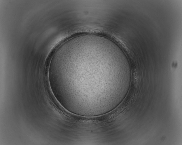 X0000088900679200707061455