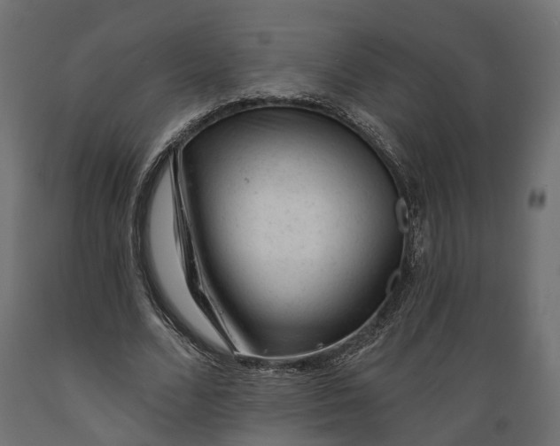 X0000088900680200707061455