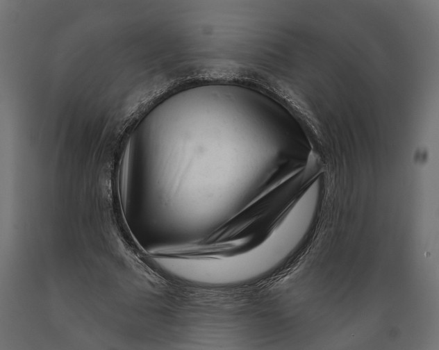 X0000088900681200707061455