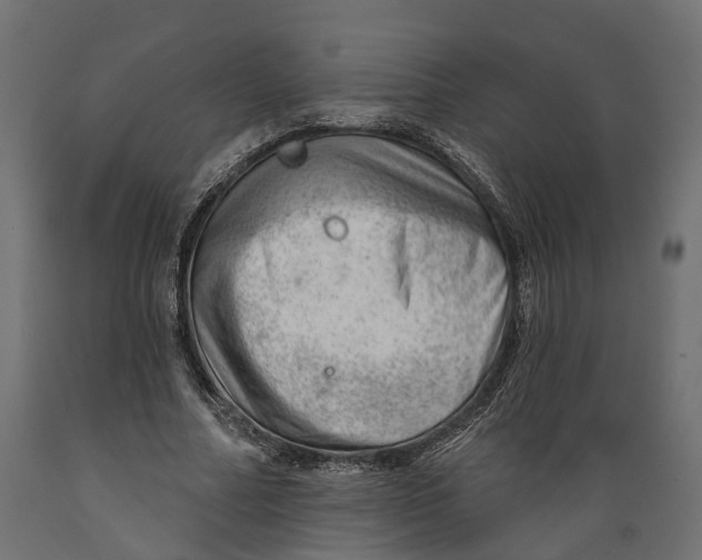 X0000088900682200707061455