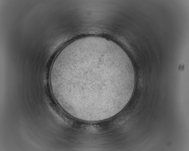 X0000088900683200707061455