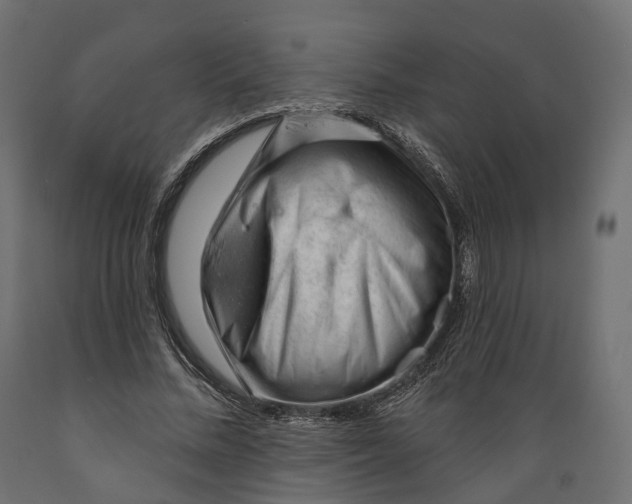 X0000088900684200707061455