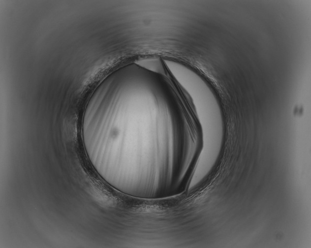 X0000088900685200707061455