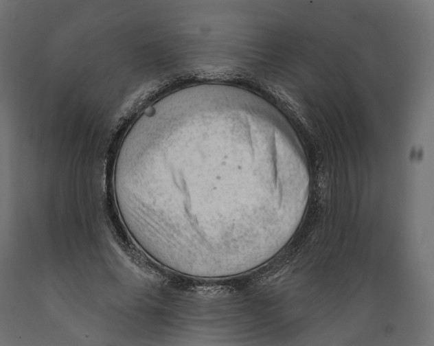 X0000088900686200707061455