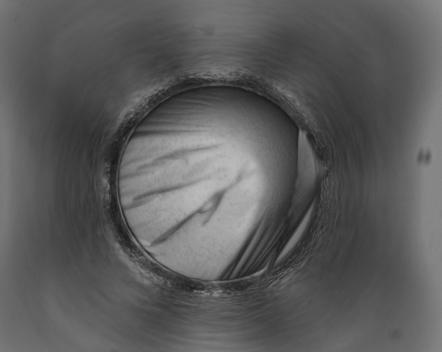 X0000088900688200707061455