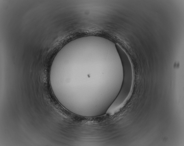 X0000088900689200707061455