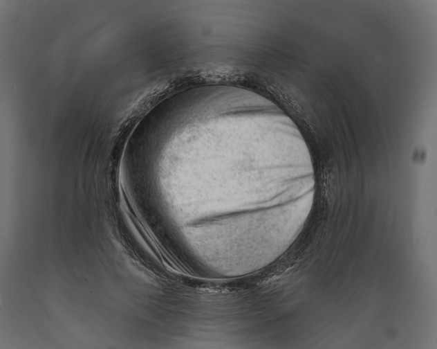 X0000088900690200707061455