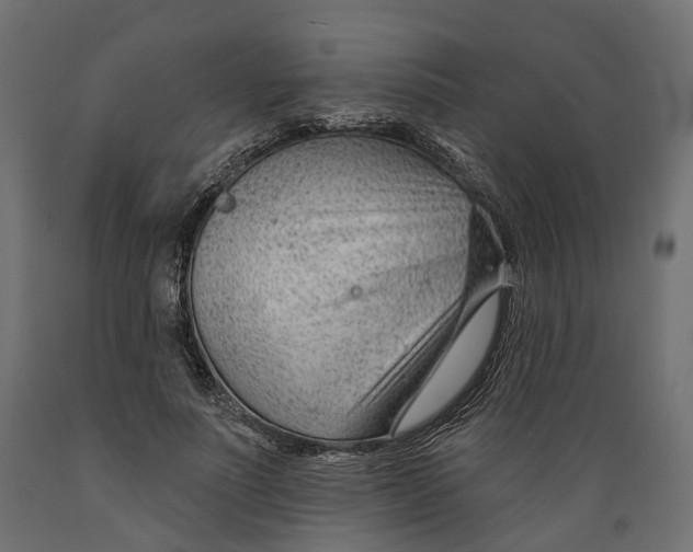 X0000088900691200707061455