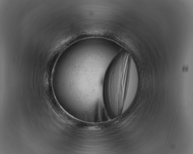 X0000088900692200707061455