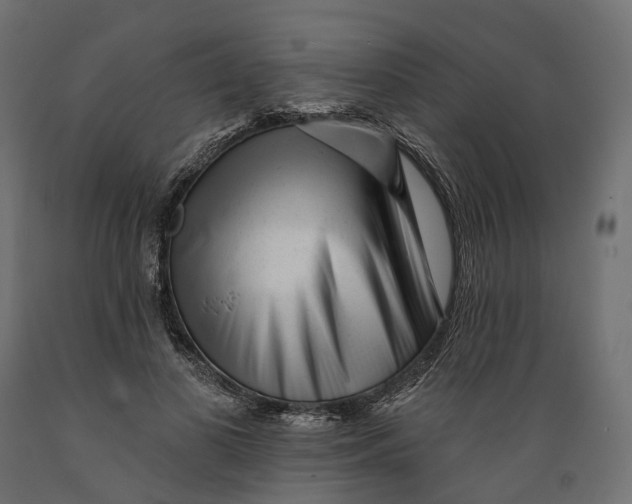 X0000088900693200707061455