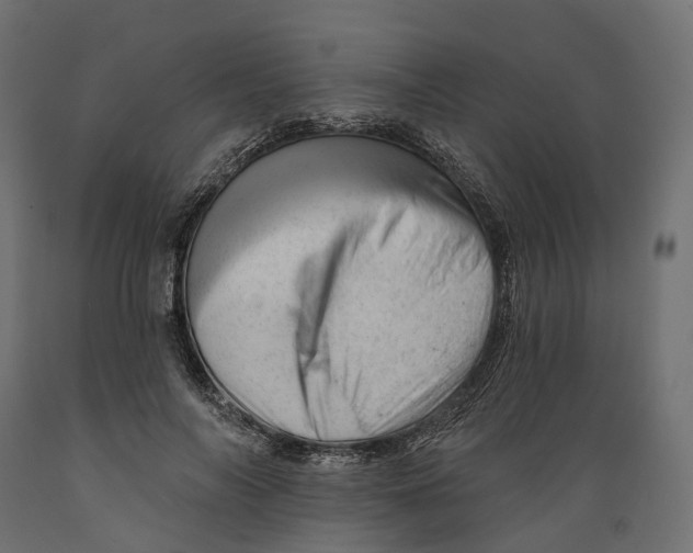 X0000088900694200707061455