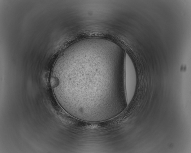 X0000088900695200707061455