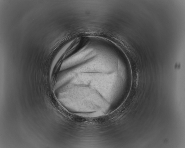 X0000088900696200707061455