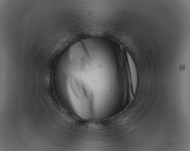 X0000088900697200707061455