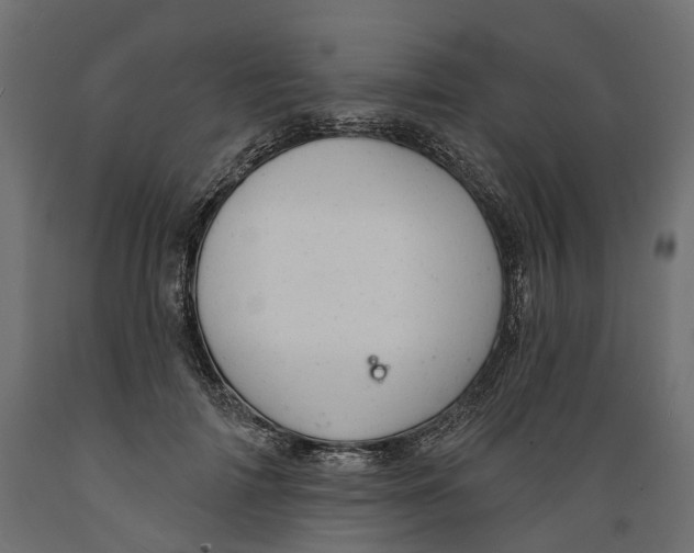 X0000088900698200707061455