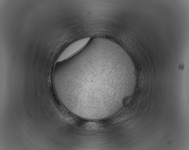 X0000088900699200707061455