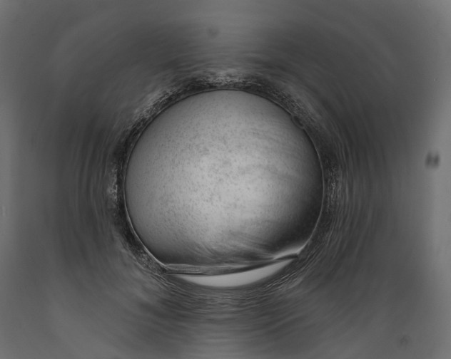 X0000088900700200707061455